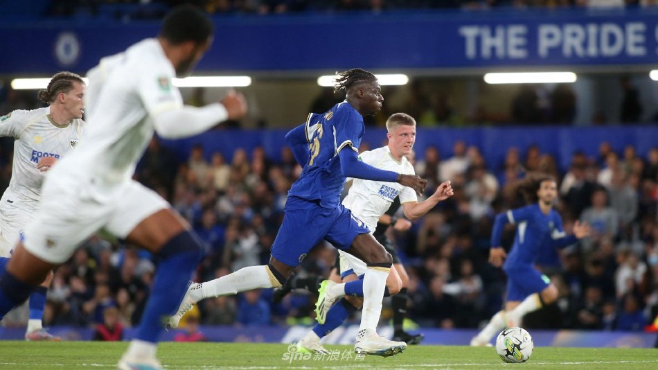 普利西奇 普利西奇